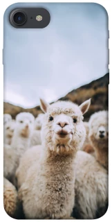 Чохол на Apple iPhone 7 / 8 (4.7") Лама фото 1 з 1