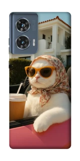 Чохол на Motorola Edge 50 Stylish Cat Cruise фото 1 Чохол на Motorola Edge 50 Stylish Cat Cruise фото 1 з 1