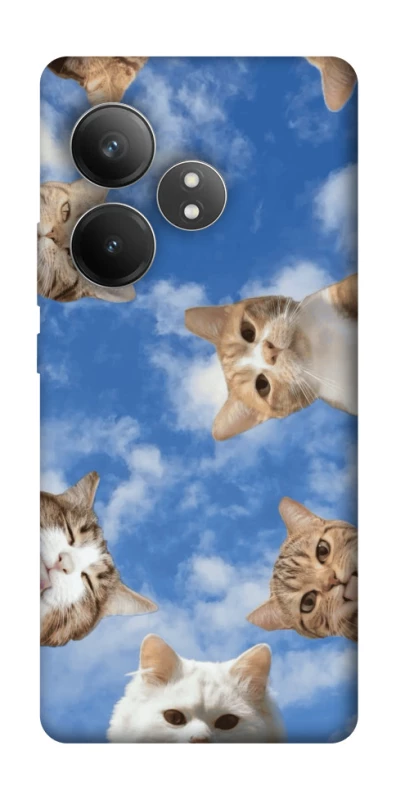 Чохол на Realme GT Neo 6 SE Сats фото 1 з 1