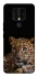Чохол на TECNO Camon 16 SE Leopard v4 фото 1 з 1