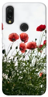 Чохол на Xiaomi Redmi 7 Поле маків фото 1 з 1