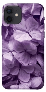 Чохол на Apple iPhone 12 (6.1") Floral Symphony фото 1 з 1