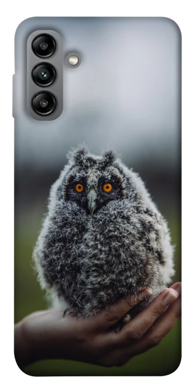 Чехол на Samsung Galaxy A04s Совёнок фото 1 из 1