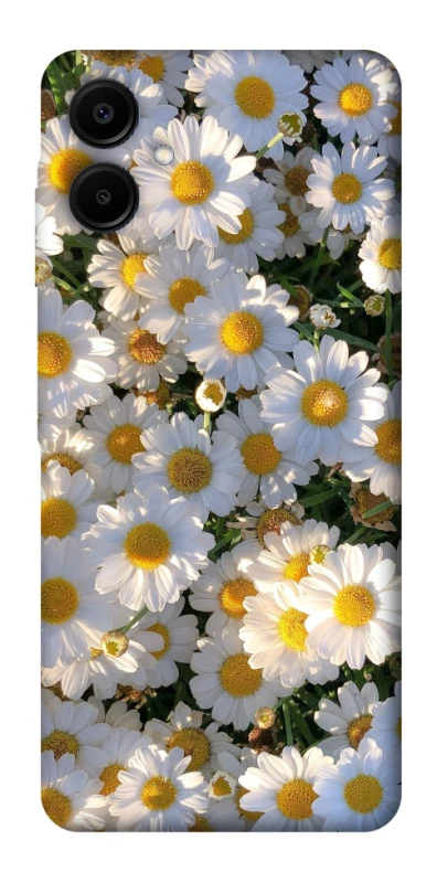 Чохол на Samsung Galaxy A06 Поле ромашок фото 1 з 1