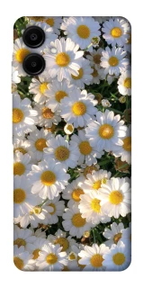 Чехол на Samsung Galaxy A06 Поле ромашек фото 1 из 1