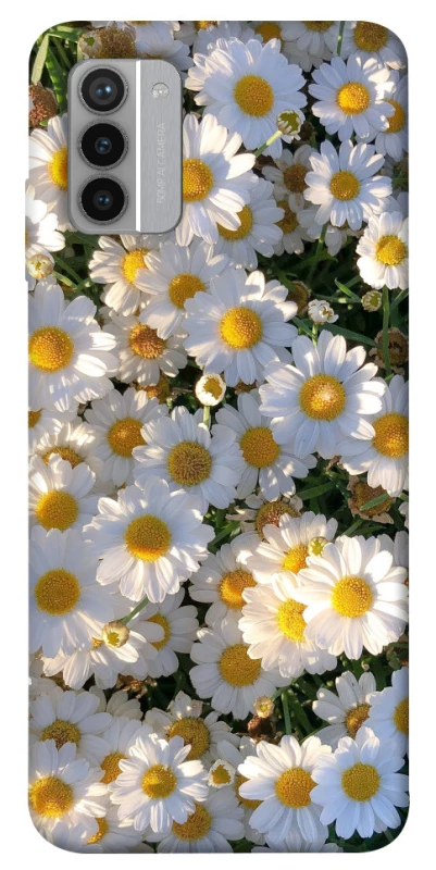 Чехол на Nokia G42 Поле ромашек фото 1 из 1