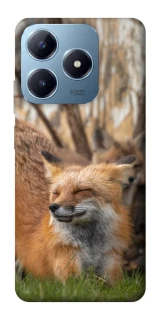 Чехол на Realme C63 Лиса фото 1 из 1