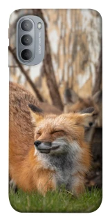 Чехол на Motorola Moto G31 Лиса фото 1 из 1