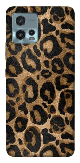 Чохол на Motorola Moto G72 Leopard Skin фото 1 з 1