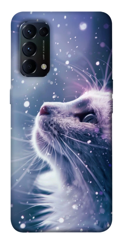 Чохол на Oppo Reno 5 4G Snow cat фото 1 з 1