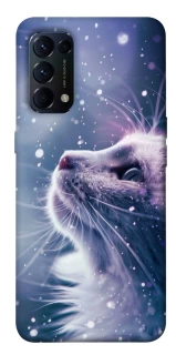 Чехол на Oppo Reno 5 4G Snow cat фото 1 из 1