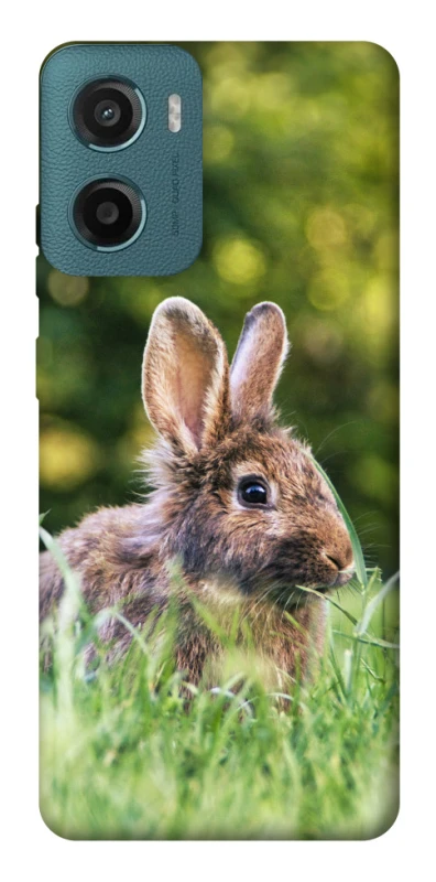 Чохол на Motorola Moto G06 Кролики фото 1 з 1