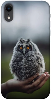 Чехол на Apple iPhone XR (6.1") Совёнок фото 1 из 1