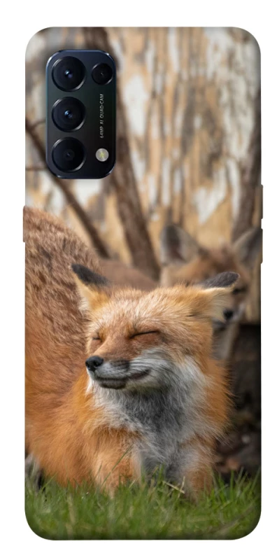 Чехол на Oppo Reno 5 4G Лиса фото 1 из 1