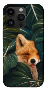 Чехол на Apple iPhone 14 Pro (6.1") Fox фото 1 из 1