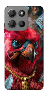 Чохол на Motorola Moto G15 Power Папуга фото 1 з 1