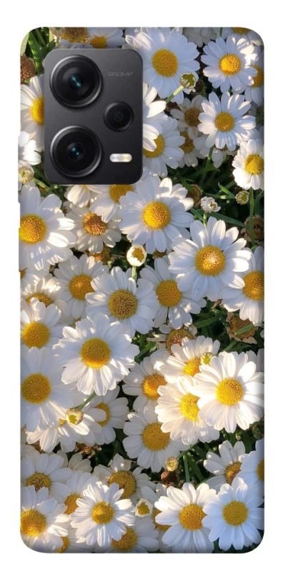 Чохол на Xiaomi Redmi Note 12 Pro 5G Поле ромашок фото 1 з 1