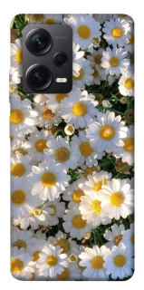 Чохол на Xiaomi Redmi Note 12 Pro 5G Поле ромашок фото 1 з 1