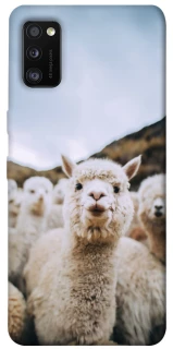 Чохол на Samsung Galaxy A41 Лама фото 1 з 1