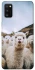 Чохол на Samsung Galaxy A41 Лама фото 1 з 1