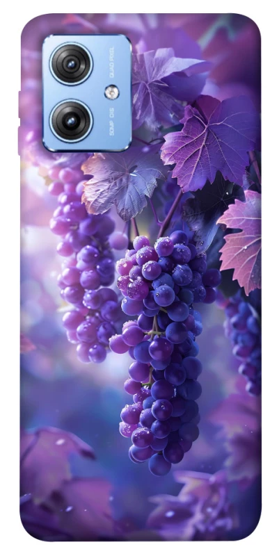 Чохол на Motorola Moto G84 Bunch of grapes фото 1 з 1