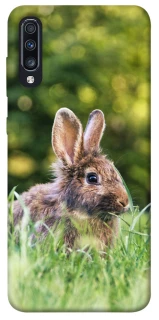 Чехол на Samsung Galaxy A70 (A705F) Кролики фото 1 из 1