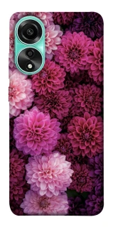 Чехол на Oppo A78 4G Garden1 фото 1 из 1