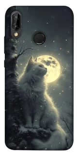 Чохол на Huawei P20 Lite Кіт під місяцем фото 1 Чохол на Huawei P20 Lite Кіт під місяцем фото 1 з 1