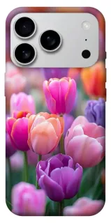 Чохол на Apple iPhone 18 Pro Max Тюльпанове поле фото 1 з 2