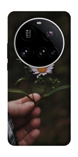 Чехол на Xiaomi 15 Ultra Ромашка v4 фото 1 из 1