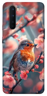 Чехол на OnePlus Nord Birdie фото 1 из 1