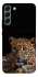 Чохол на Samsung Galaxy S22+ Leopard v4 фото 1 з 1