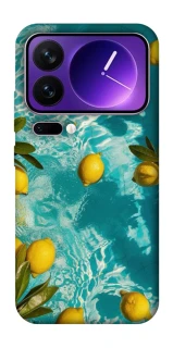 Чехол на Xiaomi 17 Pro Max Lemon фото 1 из 1