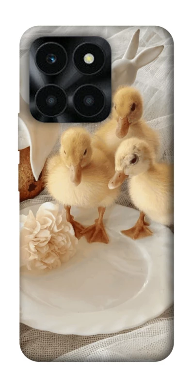 Чохол на Huawei Honor X6a Easter Vibes фото 1 з 1