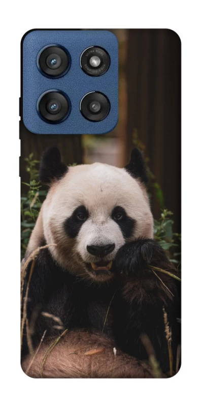 Чохол на Motorola Edge 60 Stylus Панда фото 1 з 1
