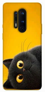 Чохол на OnePlus 8 Pro This is Cat фото 1 з 1