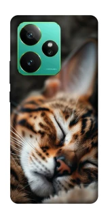 Чехол на Realme GT 7 Cat paws фото 1 из 1