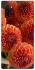 Чохол на Samsung Galaxy Note 10 Plus Flower1 фото 1 з 1