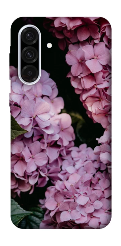 Чохол на Samsung Galaxy A36 5G Рожеві гартензії фото 1 з 1