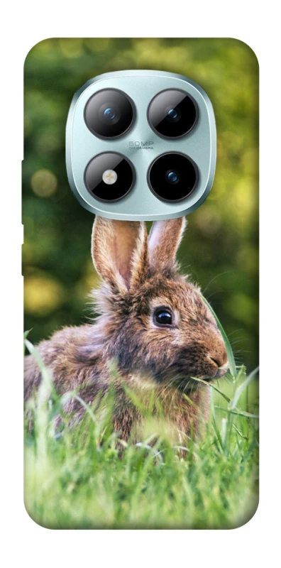 Чехол на Xiaomi Redmi Note 15 Pro+ 5G Кролики фото 1 из 1