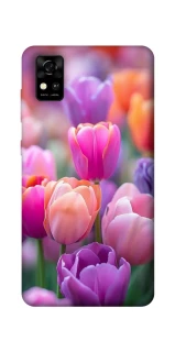 Чохол на ZTE Blade A31 Тюльпанове поле фото 1 з 1