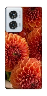 Чохол на Motorola Edge 50 Fusion Flower1 фото 1 з 1