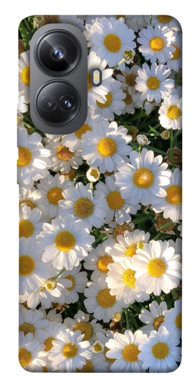 Чохол на Realme 10 Pro+ Поле ромашок фото 1 з 1