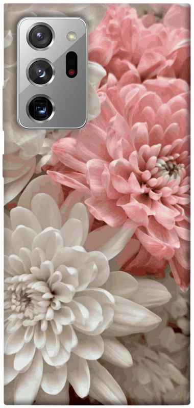 Чохол на Samsung Galaxy Note 20 Ultra Spring flow фото 1 з 1