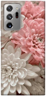Чохол на Samsung Galaxy Note 20 Ultra Spring flow фото 1 з 1