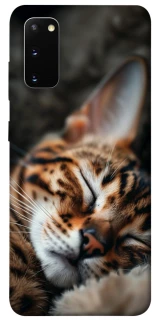 Чохол на Samsung Galaxy S20 Cat paws фото 1 з 1