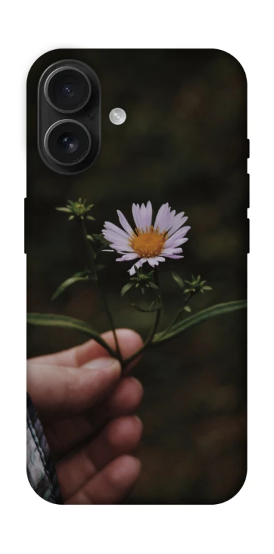 Чохол на Apple iPhone 16 Ромашка v4 фото 1 з 1