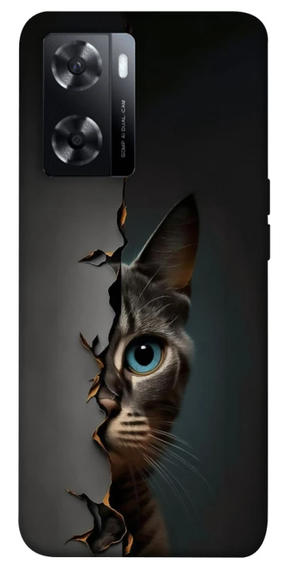 Чехол на Oppo A57s Кот-подглядыватель v2 фото 1 из 1