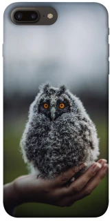 Чохол на Apple iPhone 7 plus / 8 plus Совеня фото 1 з 1