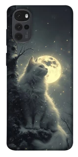 Чехол на Motorola Moto G22 Кот под луной фото 1 из 1